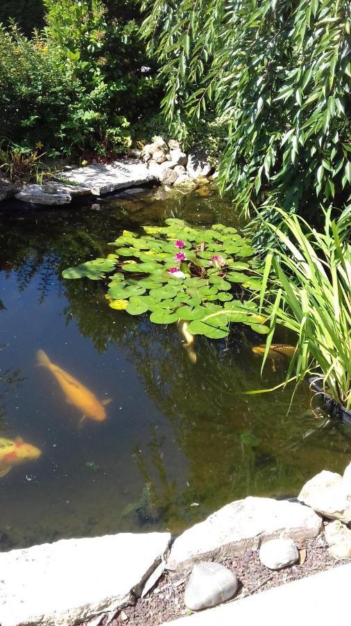 مبيت وإفطار بيسكاروس Le Jardin De Nemo المظهر الخارجي الصورة
