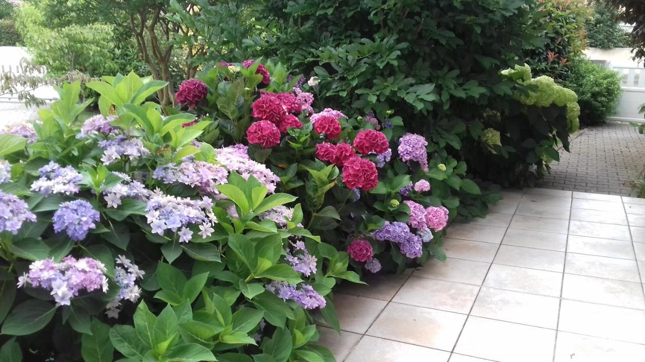 مبيت وإفطار بيسكاروس Le Jardin De Nemo المظهر الخارجي الصورة